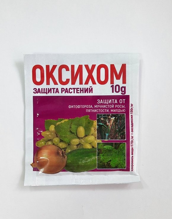 Оксихом 10гр от фитофтороза, мучнистой росы, милдью и др. (350)