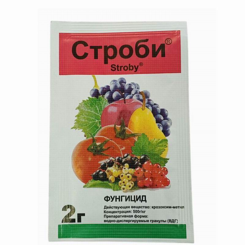 Строби 2гр фунгицид для борьбы с грибными заболеваниями (мучнистая роса, парша, фитофтороз и др.) (40/400)